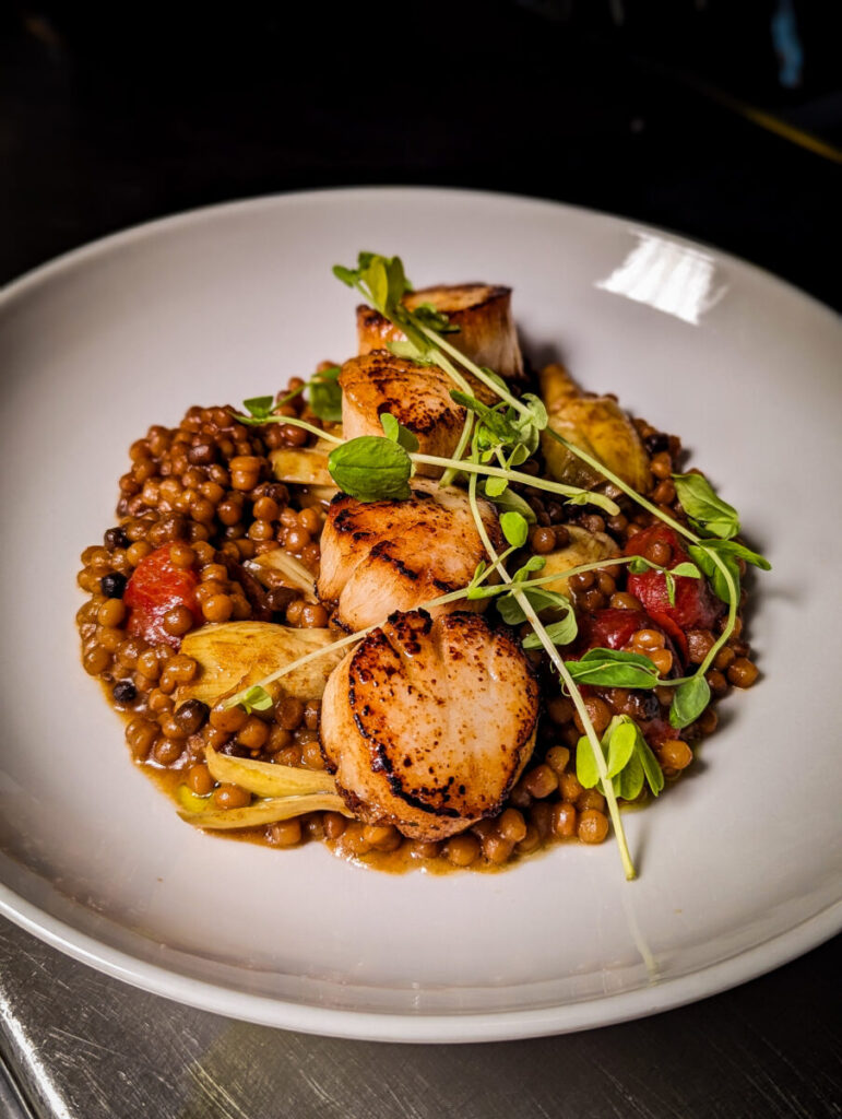 Seared scallops served over a bed of lentils with tomatoes, artichokes, and microgreens on a white plate.